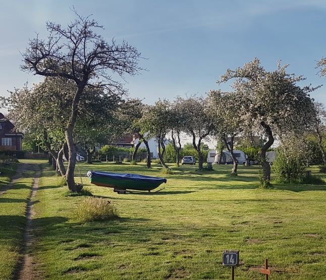 Naturcamping Seekamp — photo 2